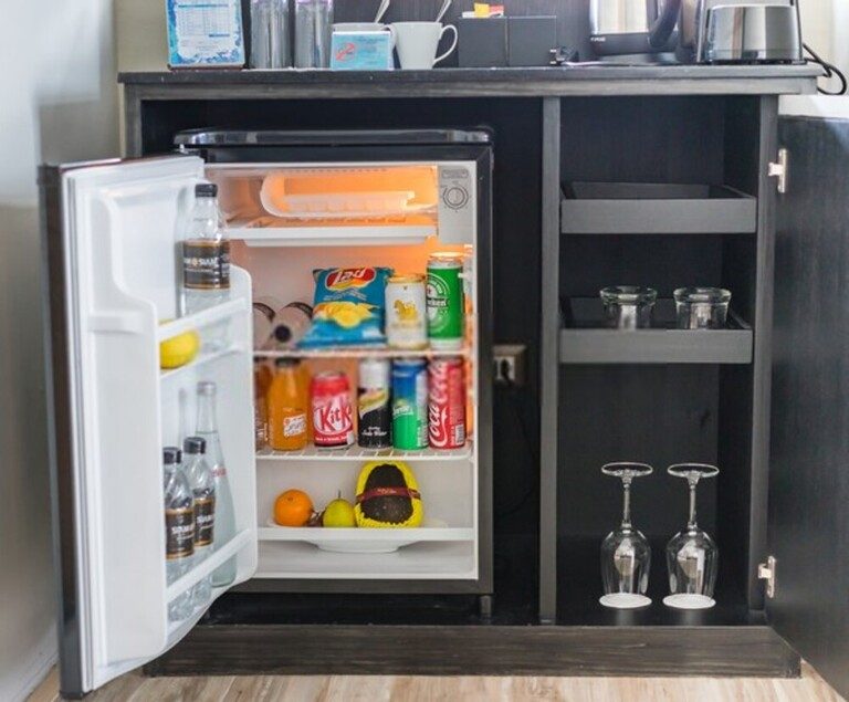 Benefits of Outdoor Bar Fridge Temperature