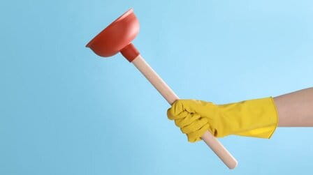 6 Best Plunger For Toto Toilet of 2025