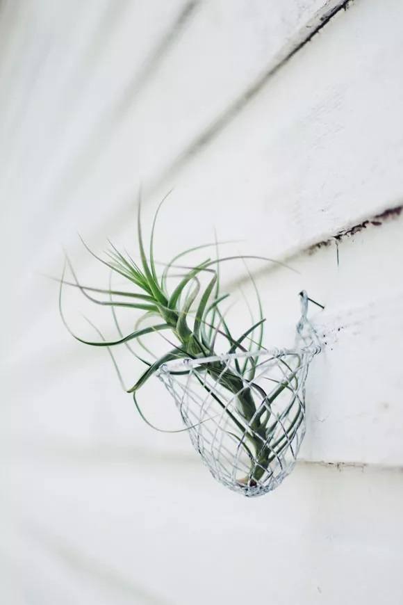 Home Decorating Ideas With Baskets Home Decorating Ideas With Baskets