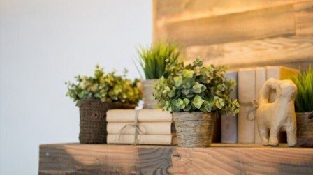 Best Artificial Plants For Home