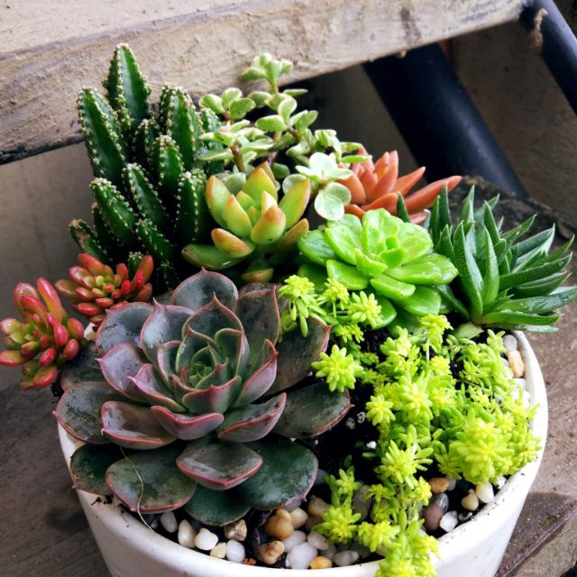 Best Artificial Plants For Home Best Artificial Plants For Home