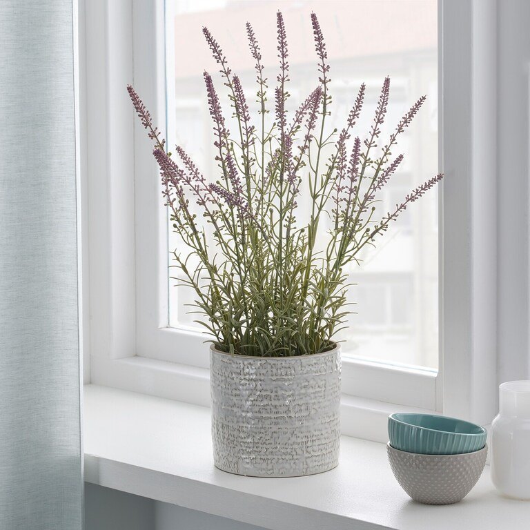 Best Artificial Plants For Home