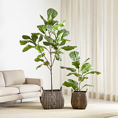 Best Artificial Plants For Home