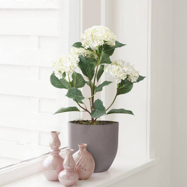 Best Artificial Plants For Home