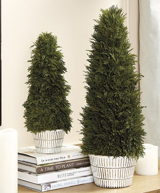 Best Artificial Plants For Home